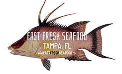 fast fresh seafood portfolio ftrd img