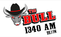 thebull logo